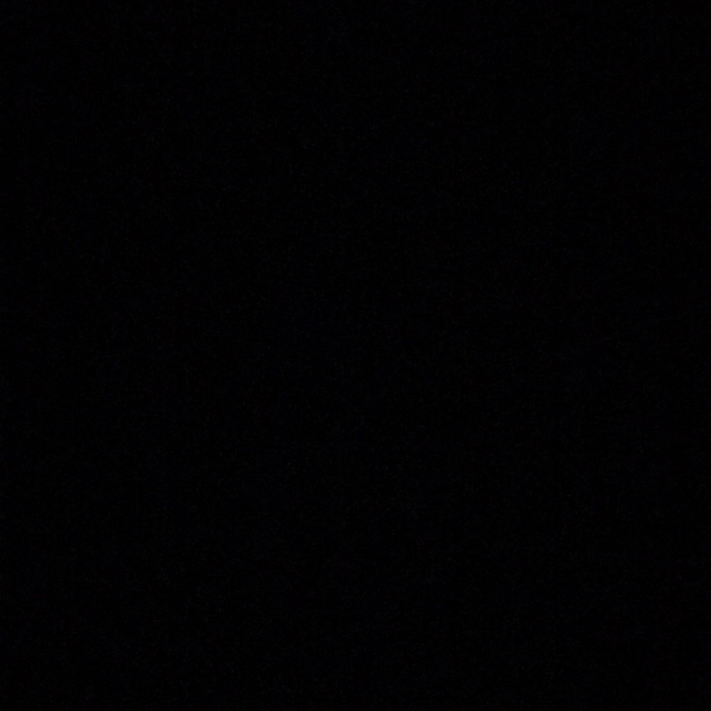 Meet your Posher, Catie